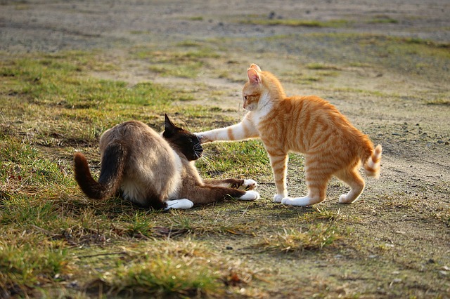 HEY! IT'S FACE PUNCH FRIDAY! BOOP!