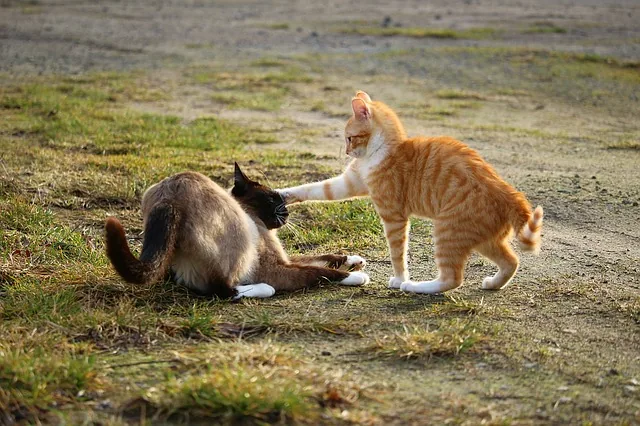HEY! IT'S FACE PUNCH FRIDAY! BOOP!