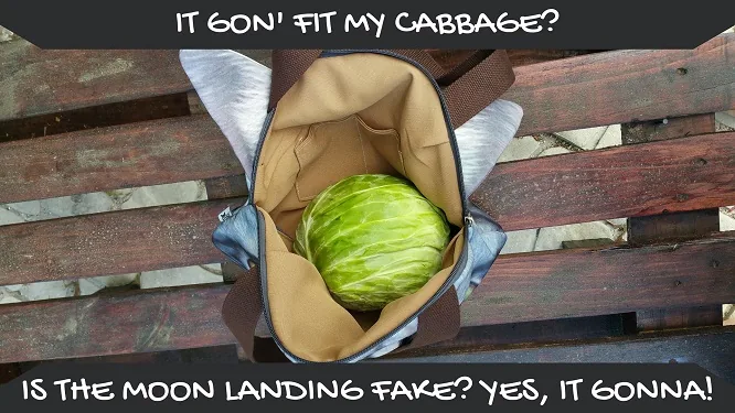 Catbags ability to fit cabbages proves we know what we are talking about - Also the moon landing is fake apparently.