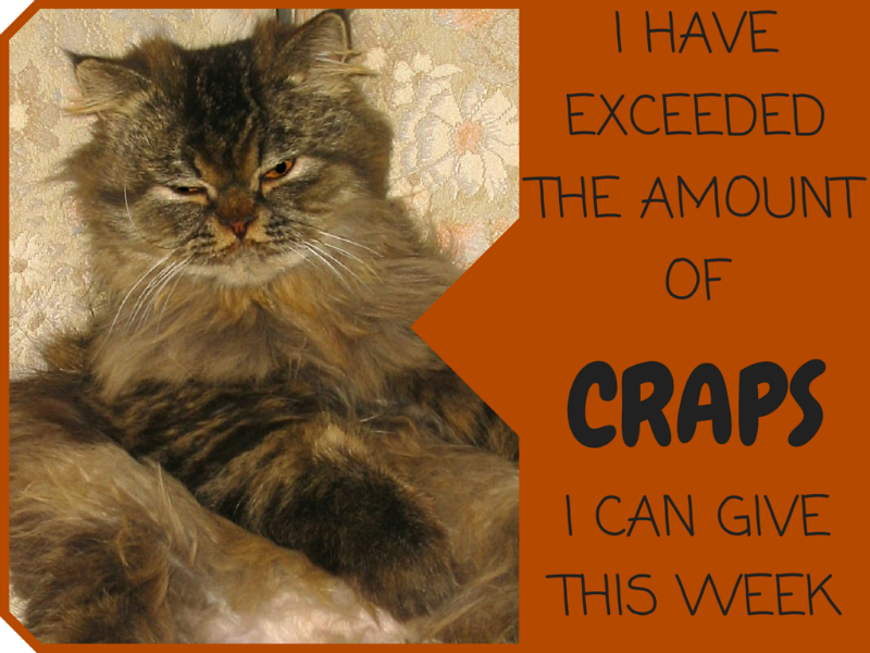 Drunk Cat Signs Off On Another Week