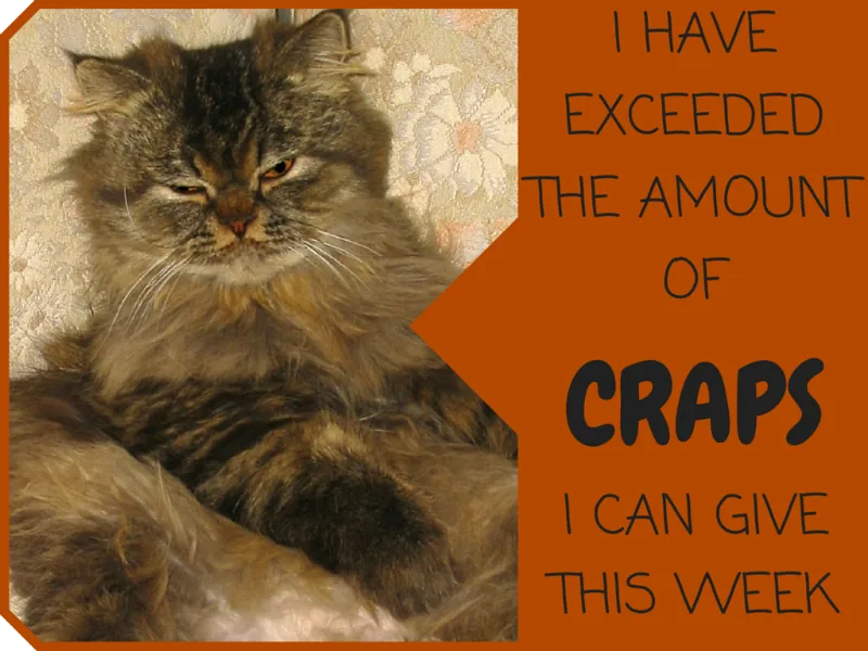 Drunk Cat Signs Off On Another Week