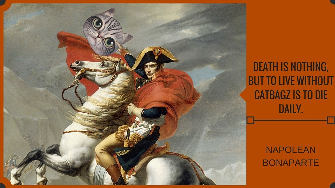 Napolean Bonaparte - Death Is Nothing But To Live Without CatBagz Is To Die Daily.