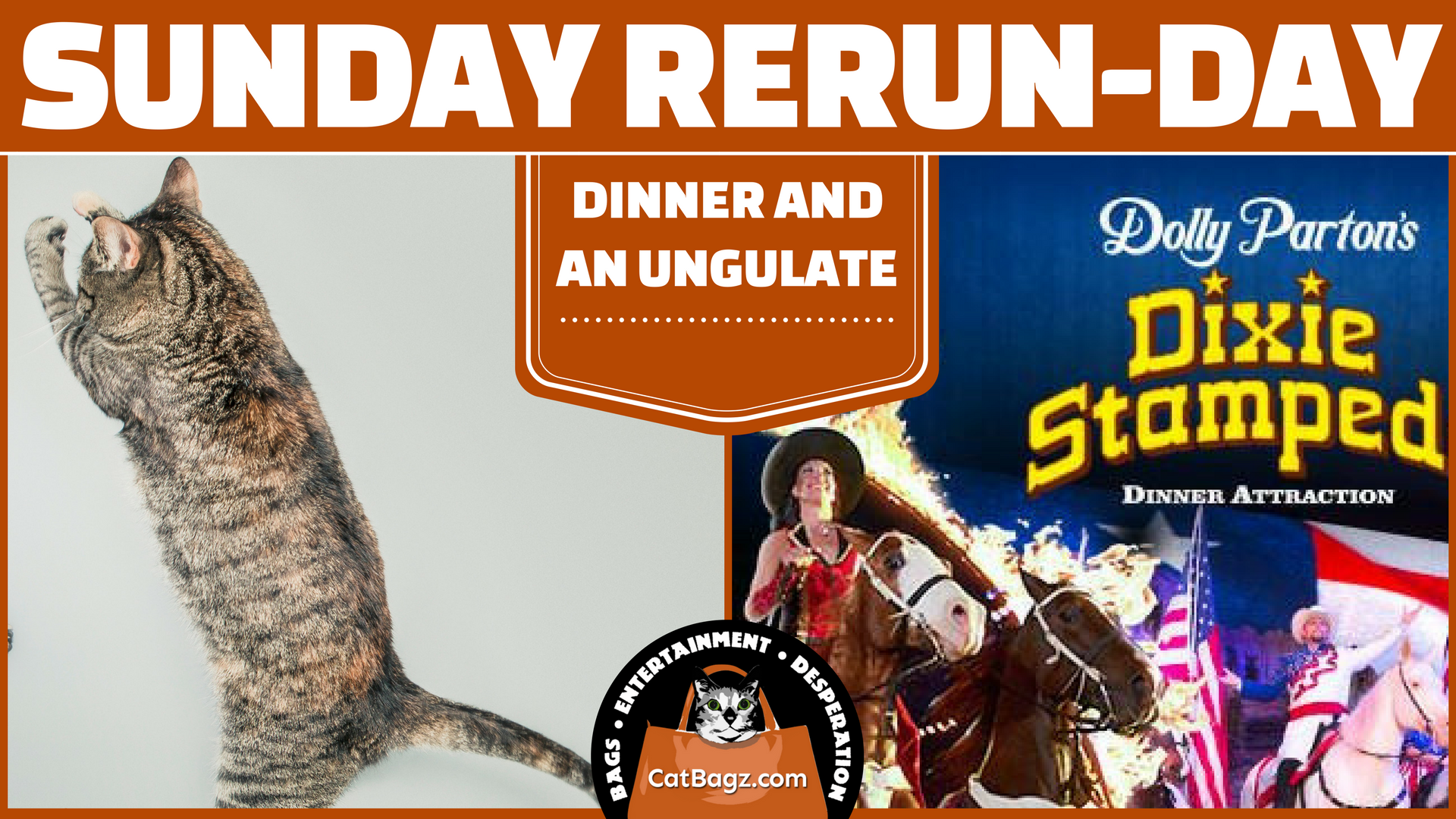 Sunday Rerun-day: Dinner and an Ungulate
