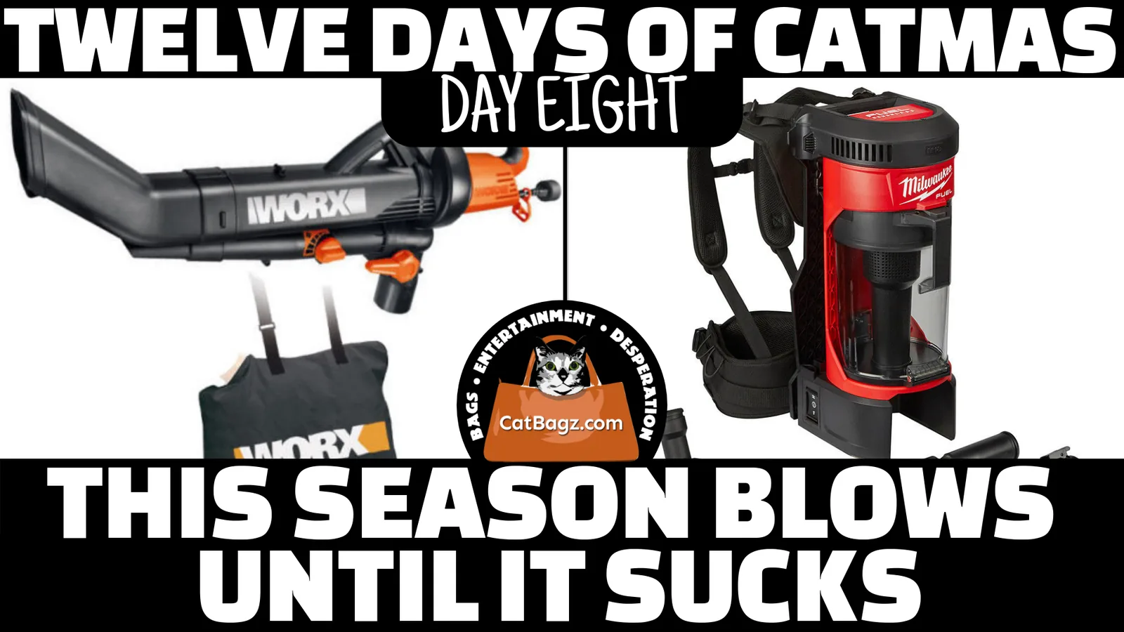 Twelve Days of Catmas - Day 8