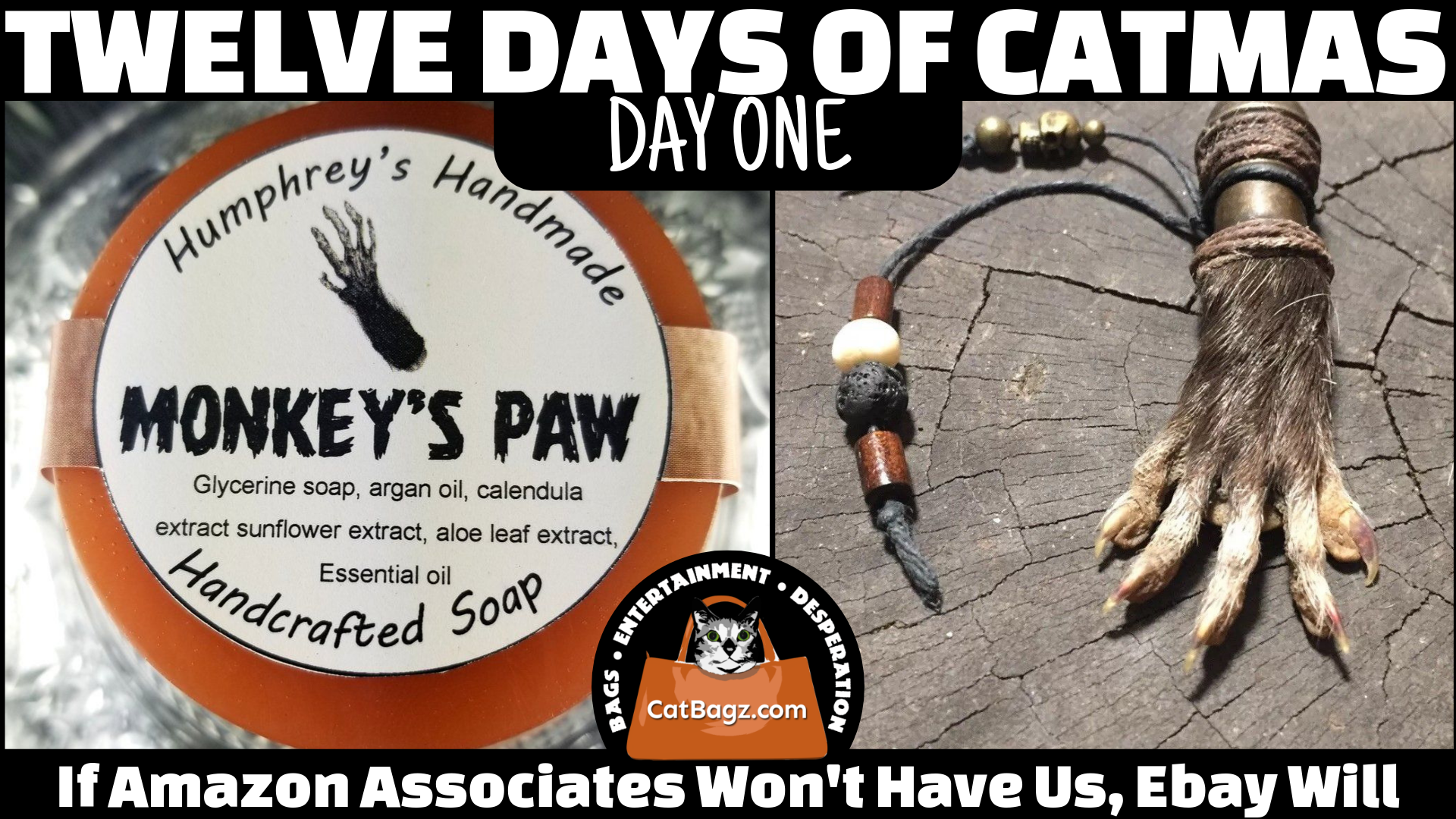 Twelve Days of Catmas - Day 1