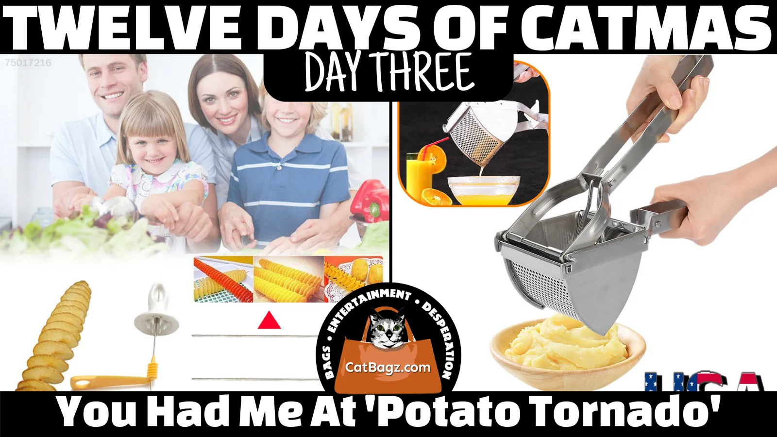 Twelve Days of Catmas - Day 3