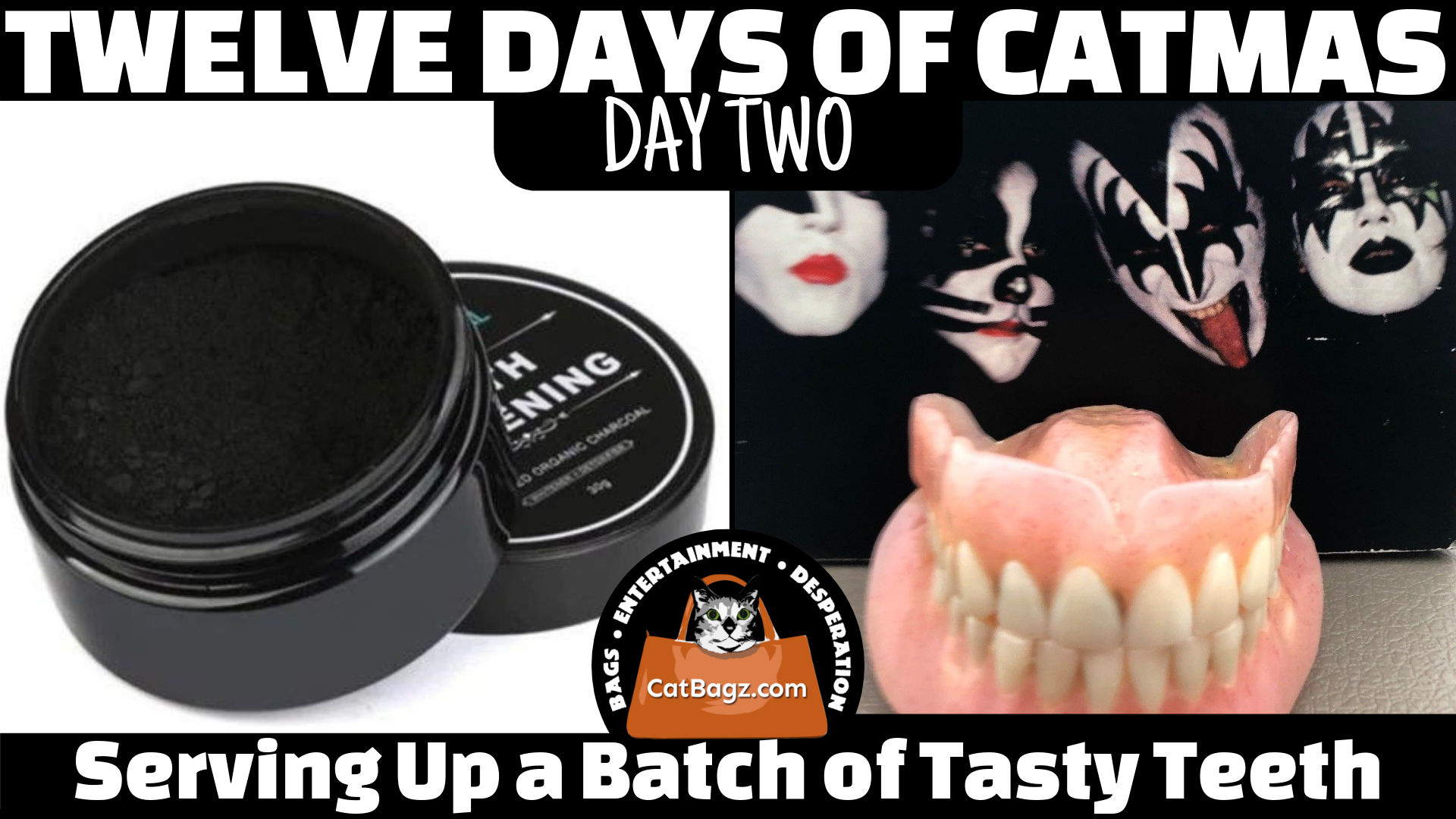 Twelve Days of Catmas - Day 2