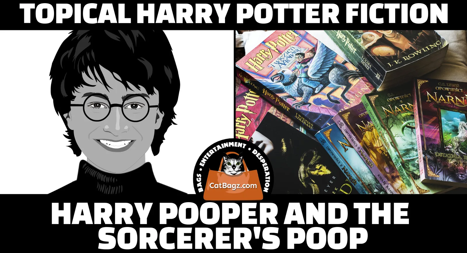 Topical Harry Potter Fiction
