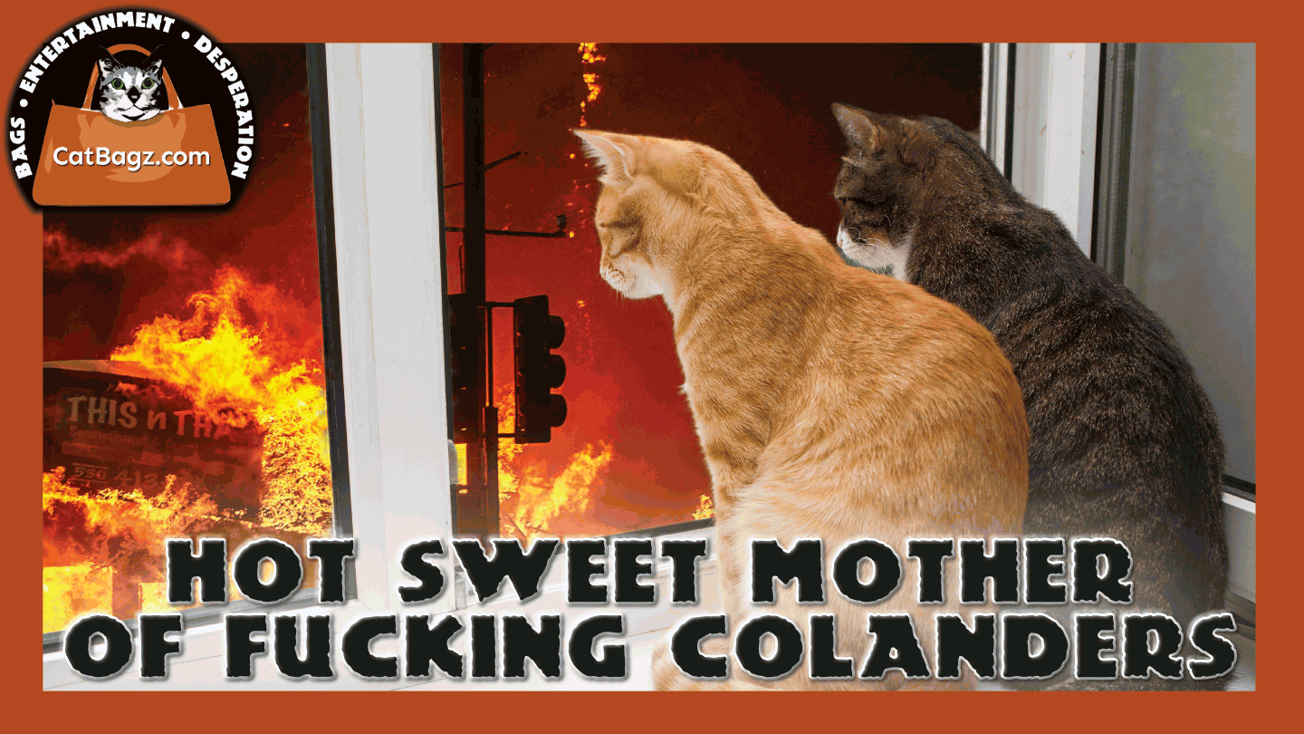 Hot Sweet Mother of Fucking Colanders