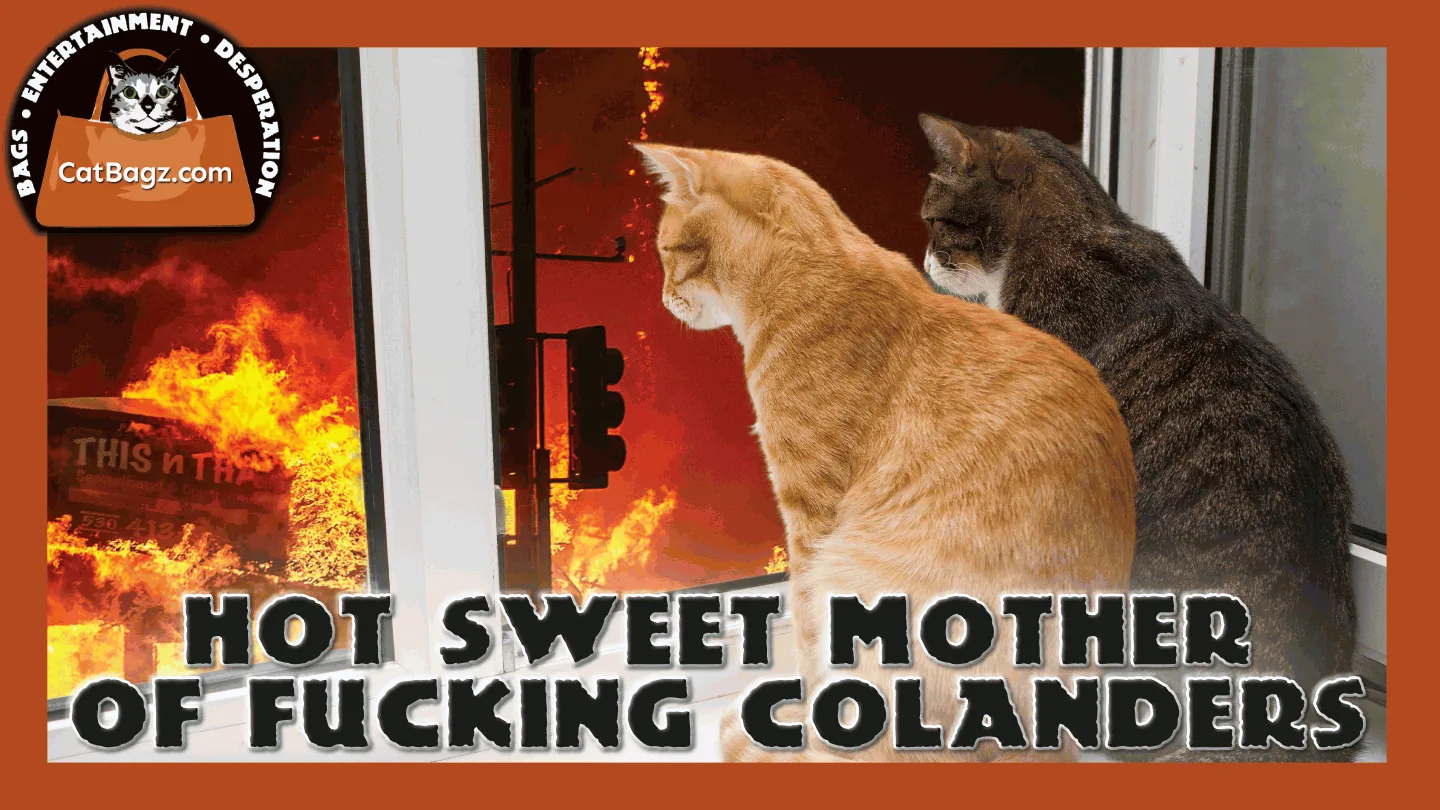 Hot Sweet Mother of Fucking Colanders