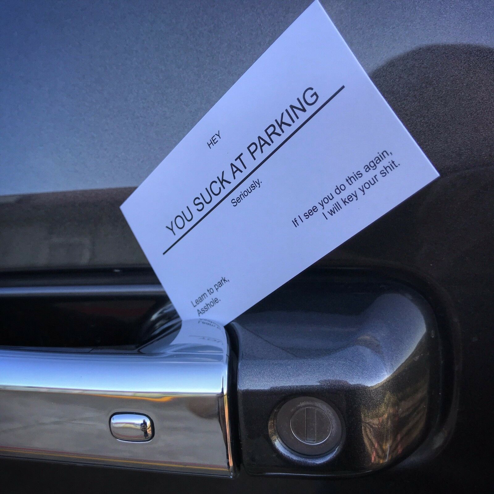 CatBagz - YouSuckAtParking