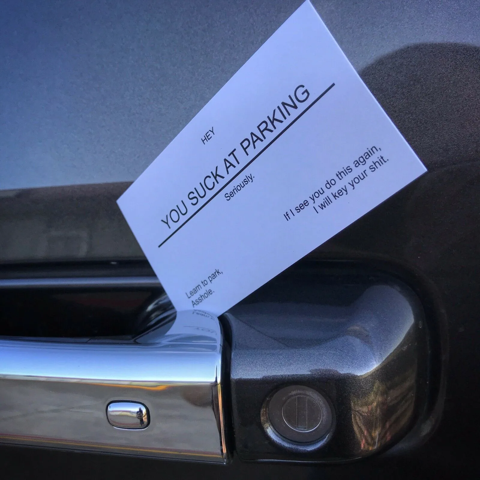 CatBagz - YouSuckAtParking