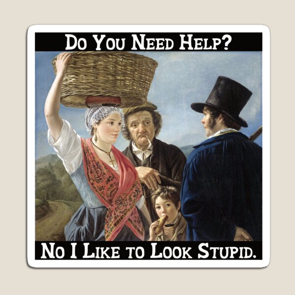 No, I Like to Look Stupid Magnet