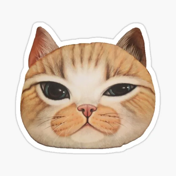 Oliver the Cat Bag