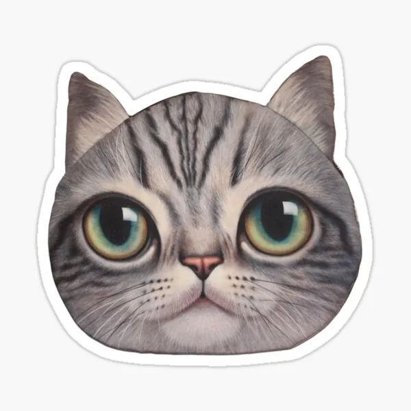 Sam the Cat Bag
