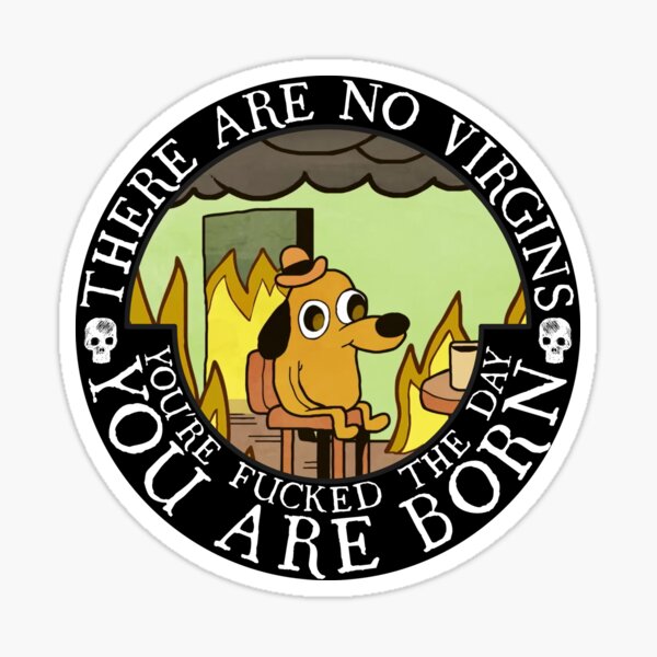 There Are No Virgins, You're Fucked the Day You Are Born Sticker