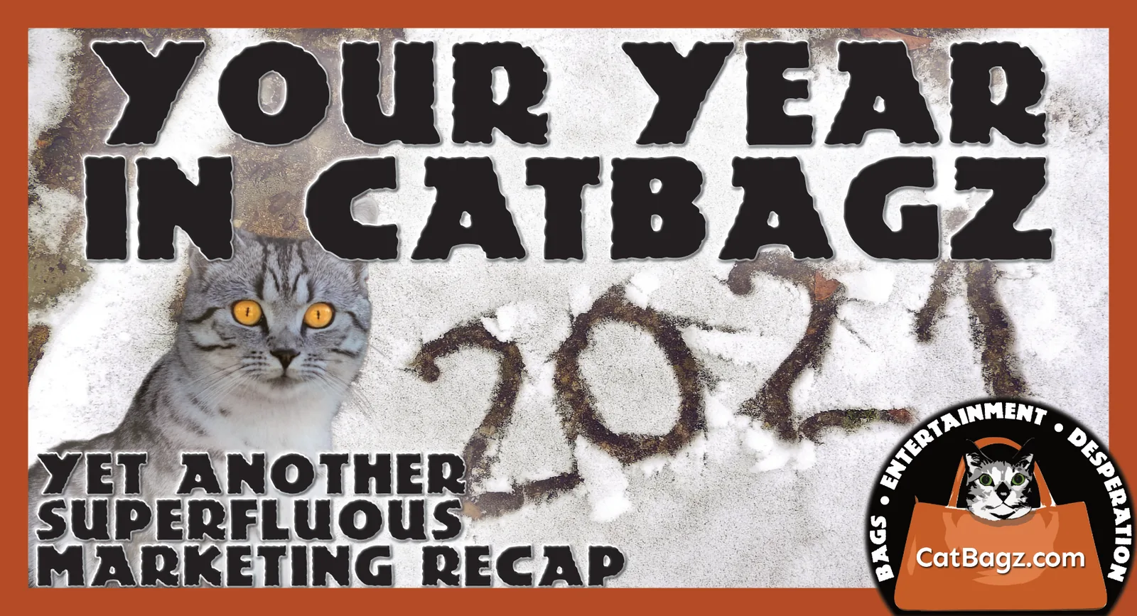 Your Year in CatBagz