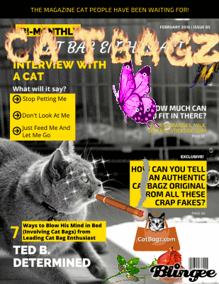 Inquisitive Carl Made this Rockin' Cat Bag Enthusiast Magazine Blingee For Us.