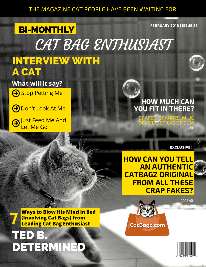 Cat Bag Enthusiast Magazine is the largest and most circulated magazine featuring content from major cat bag enthusiasts everywhere.