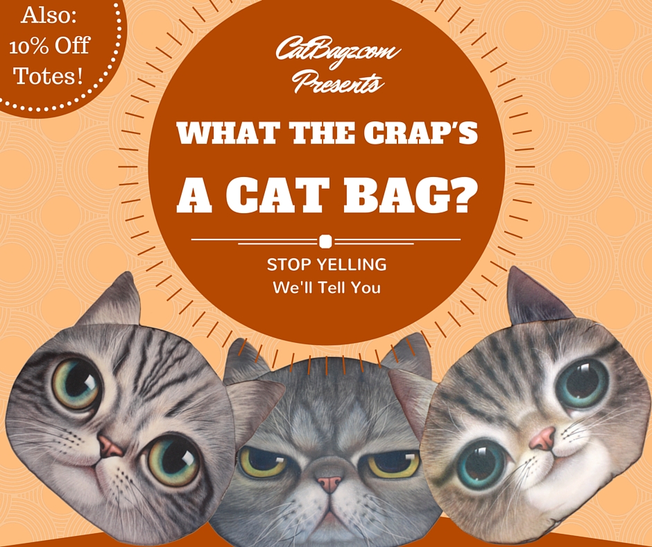 CatBagz.com Presents "What the Crap's a Cat Bag?" Starring Ron Swanson as Tough but Loveable Smokey, the Gruff Cat Detective.