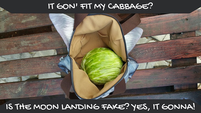 Catbags ability to fit cabbages proves we know what we are talking about - Also the moon landing is fake apparently.