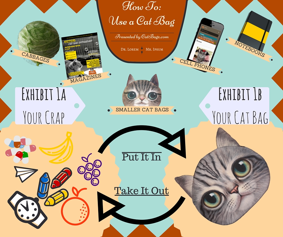 CatBagz.com Presents - How To Use A Cat Bag