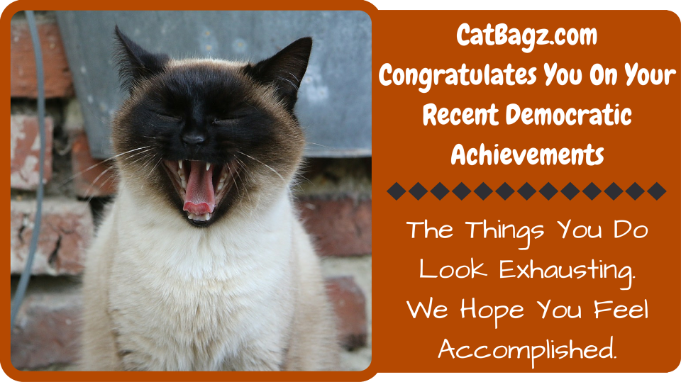 CatBagz.com Congraulation You On Your Recent Democratic Success