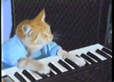 Keyboard Cat plays off our SOCIAL MEDIA CAT-FACED BAG GIVEAWAY CATBAGZ.COM BONANZA winner.