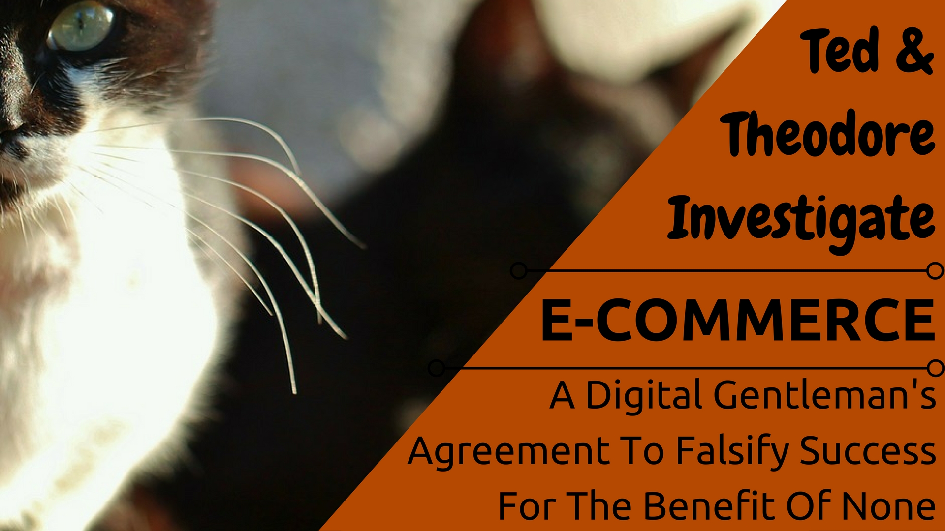 Ted & Theodore Investigate: E-Commerce