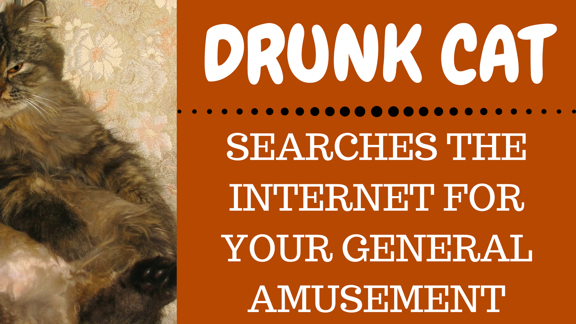 Drunk cat is thinking about stuff and takes it to the modern streets - general internet searching.