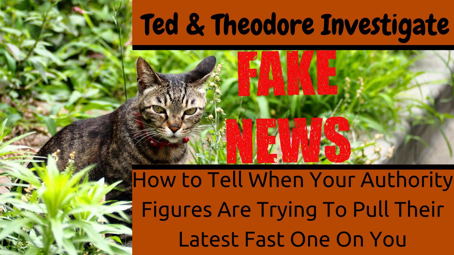 Ted and Theodore Discover the Internets Favorite Past Time of Lying About Everything Has Become Just Another Trend in Popular Media.