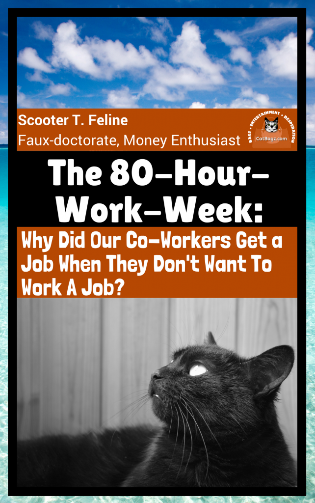 The 80 Hour Work Week: Why Did Our Co-Workers Get A Job When They Don't Want To Work A Job