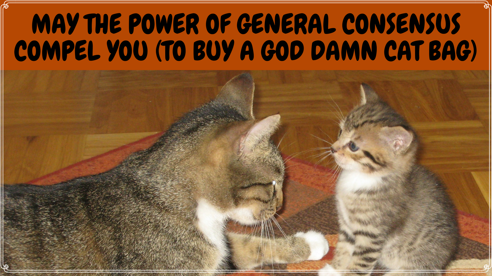 May The Power of General Consensus Compel You (to Buy a God Damn Cat Bag)