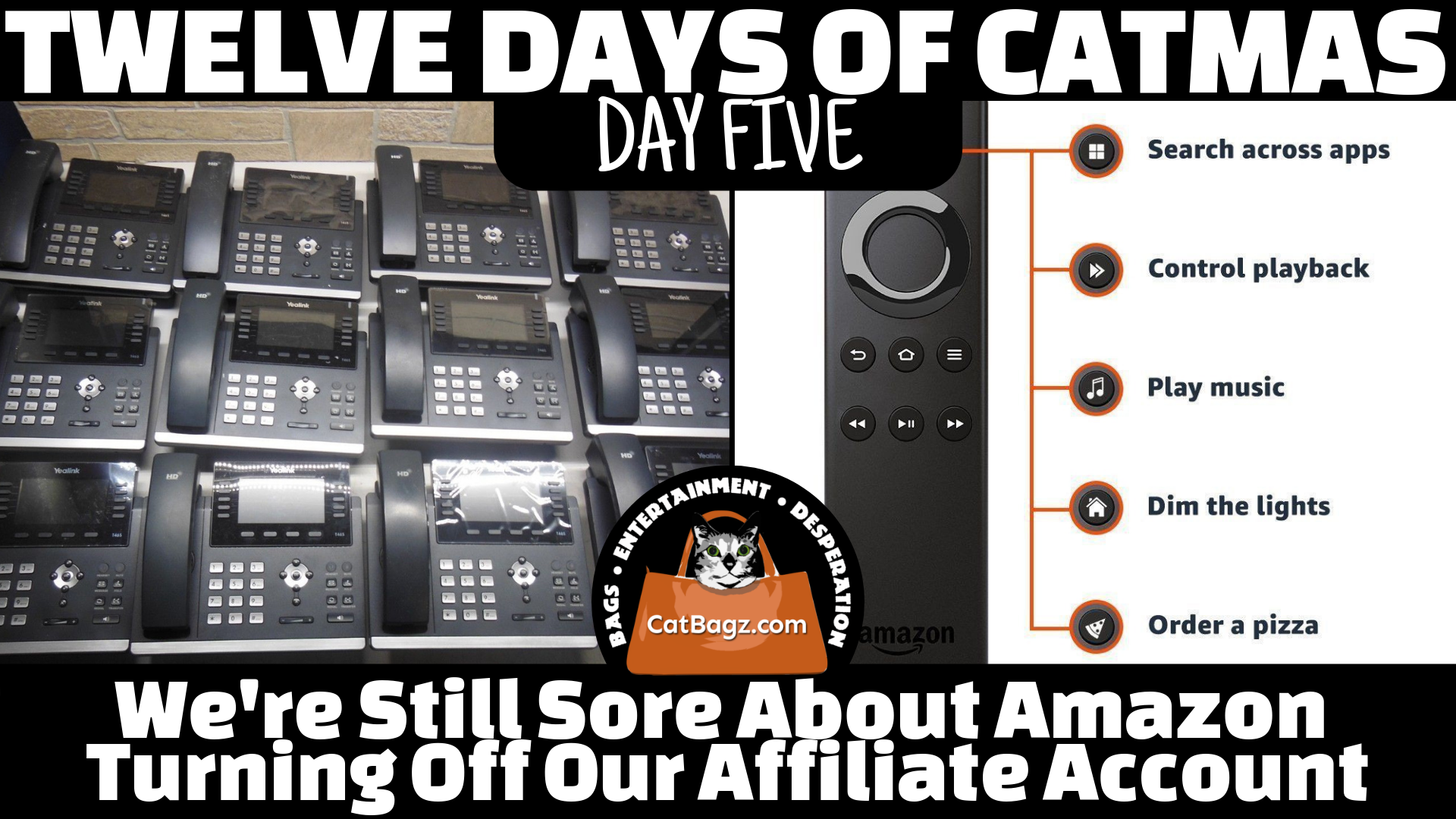 Twelve Days of Catmas - Day Five - We're still sore about Amazon turning off our affiliate account.