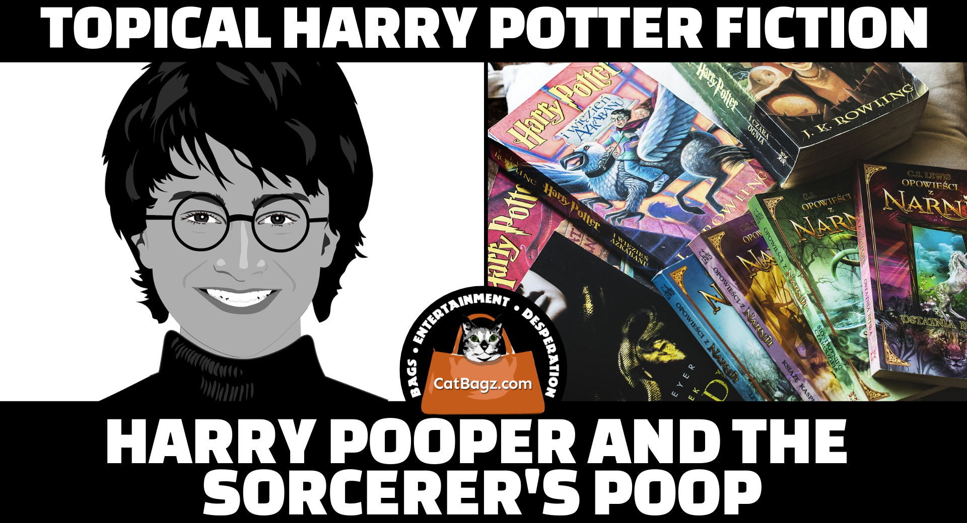 CatBagz.com Presents: Topic Harry Potter Fiction - Harry Pooper and the Sorcerer's Poop