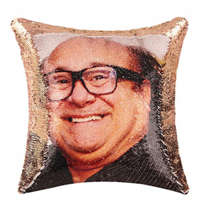 CatBagz - DannyDevitoPillow