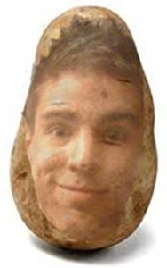 CatBagz - PotatoPal