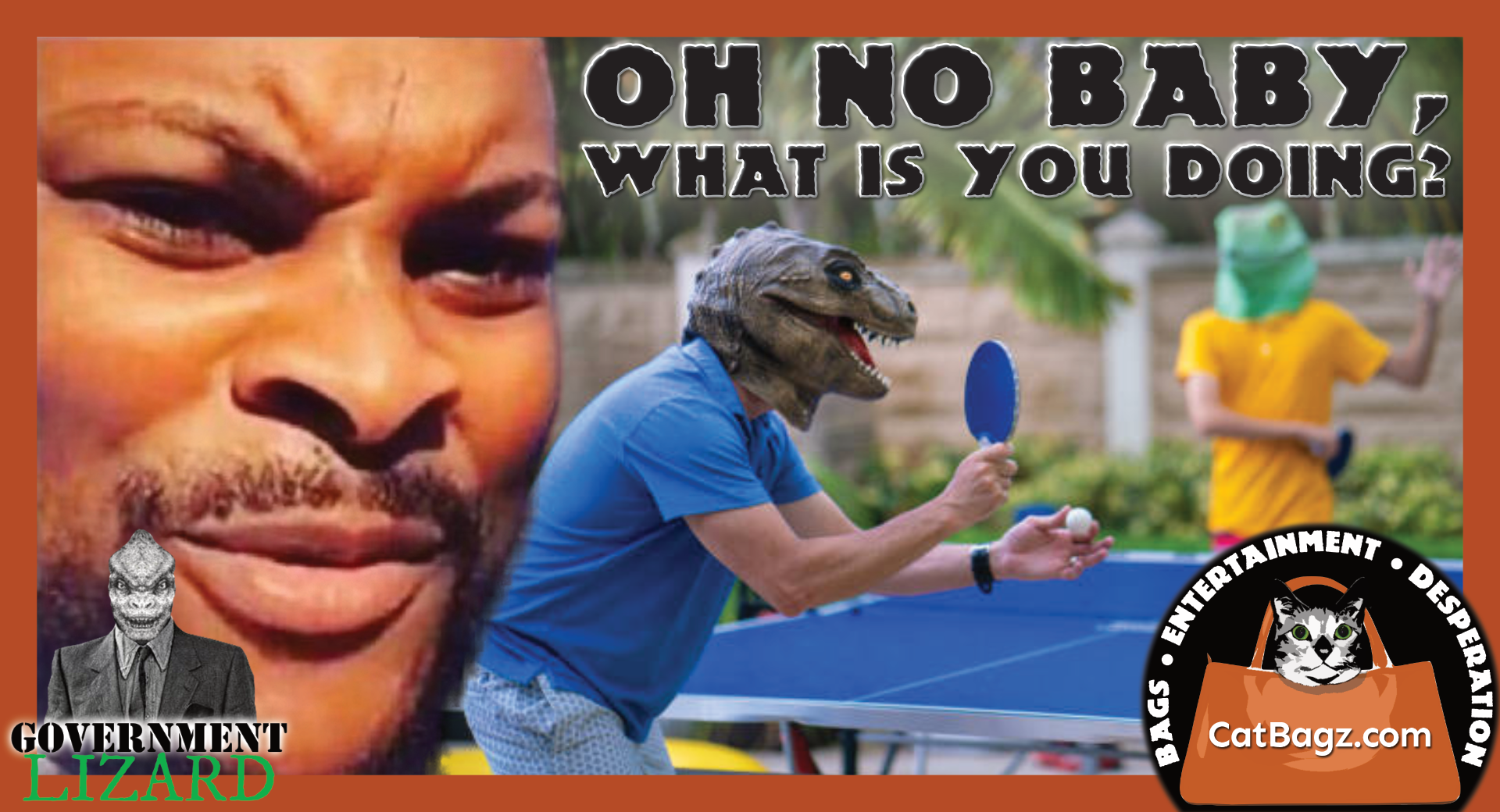 Oh No Baby What Is You Doing Catbagz