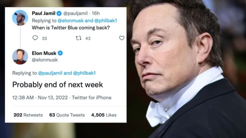 CatBagz - Musk tweet e1668359080923